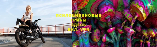 прущая мука Алзамай