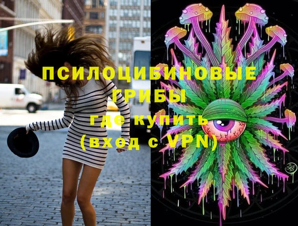 прущая мука Алзамай