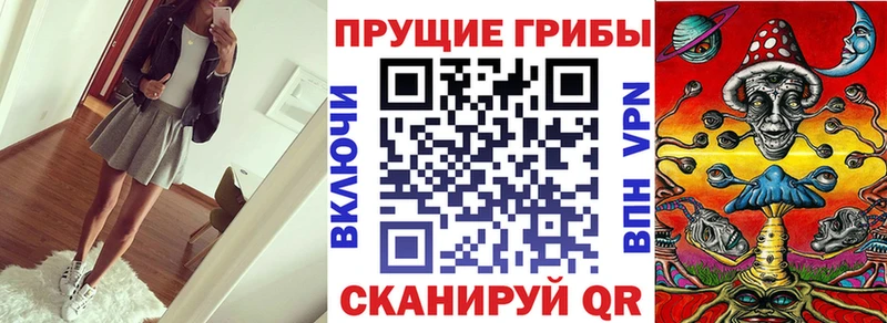 Псилоцибиновые грибы Magic Shrooms  как найти   Жиздра 